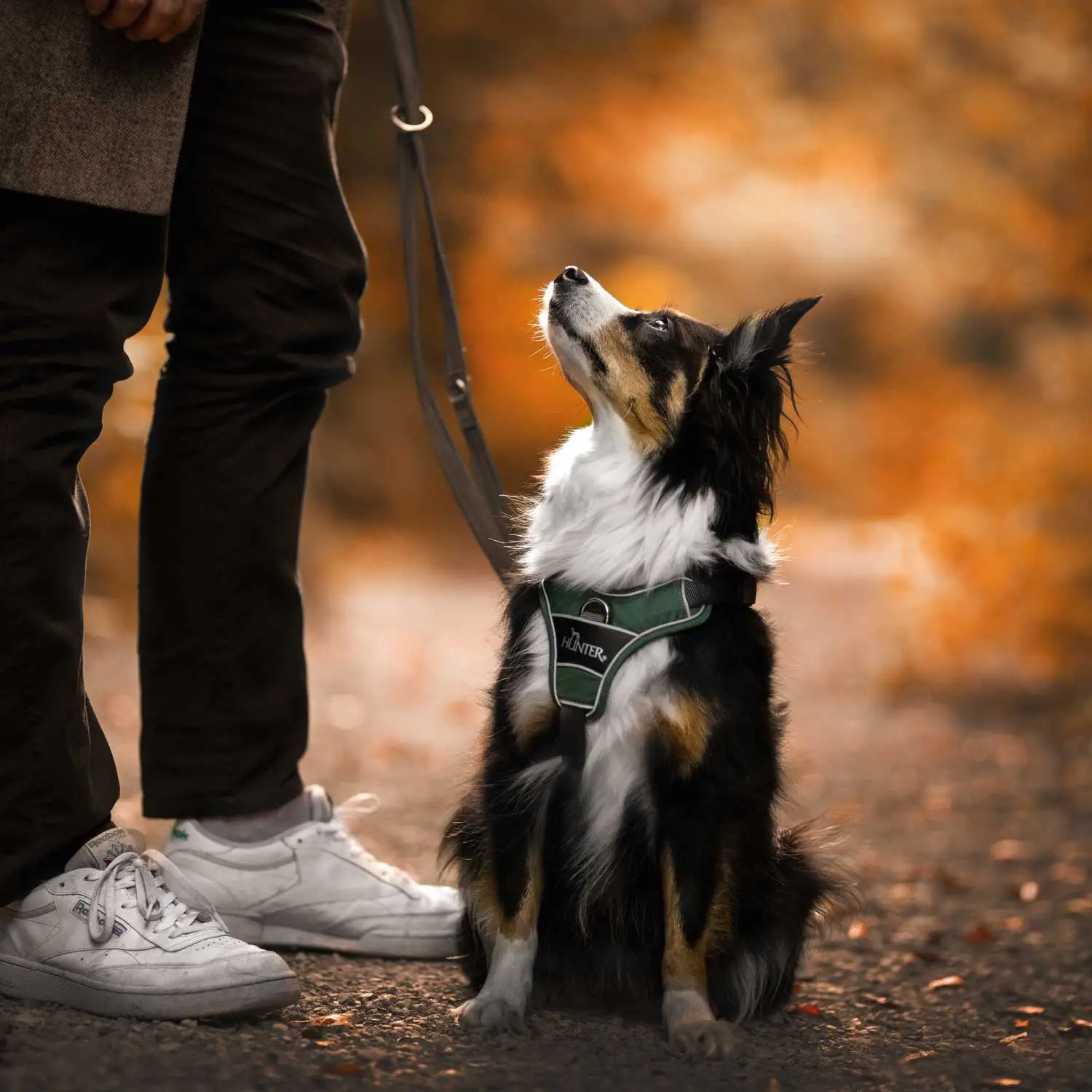 Hunter Divo hundesele S grøn/grå just mave 45-56 cm - Fleksibel kontrol og let komfort
